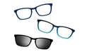 Blue Tortoise - Set