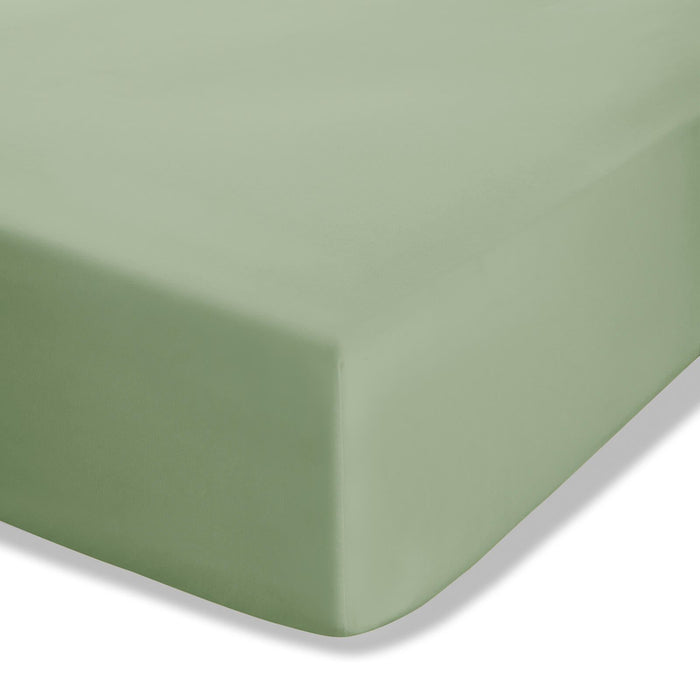 Easy Iron Percale Sage Green Extra Deep Fitted Sheet
