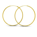 Large Aqua Net Hoops