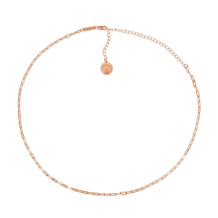 Petite Paperclip 16" Necklace