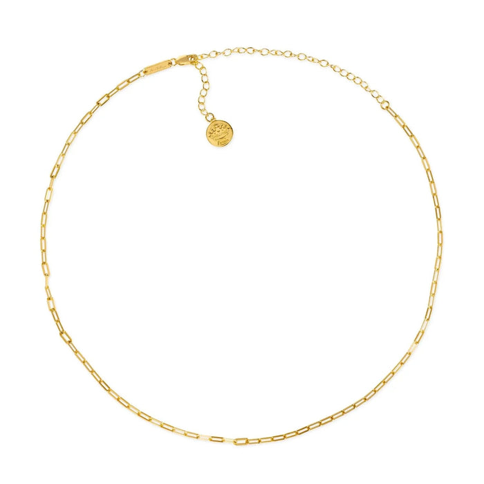 Petite Paperclip 16" Necklace