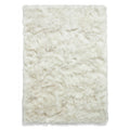 Polar Plush White/Grey Soft Shaggy Rug