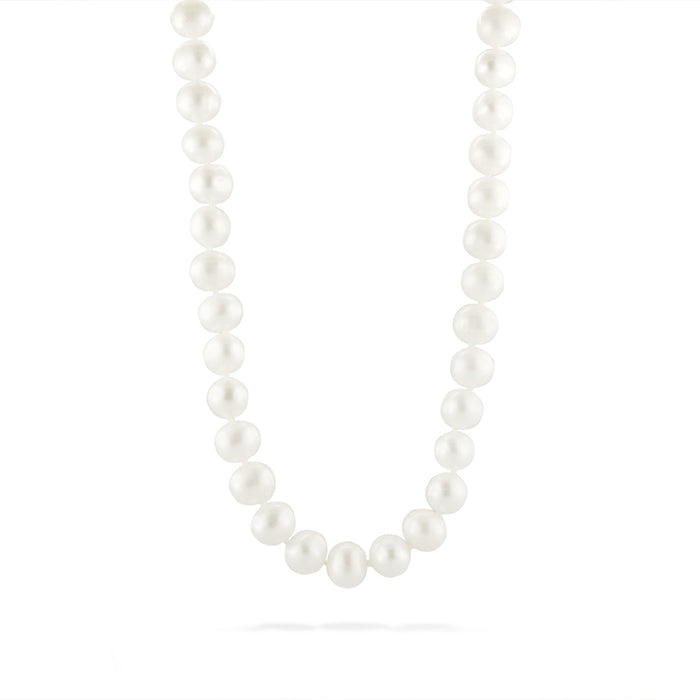 766913 - 14K Yellow Gold - White Freshwater Pearl Choker